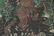 AN ANTIQUE FRAMED TIBETAN THANGKA PAINTING, - 4