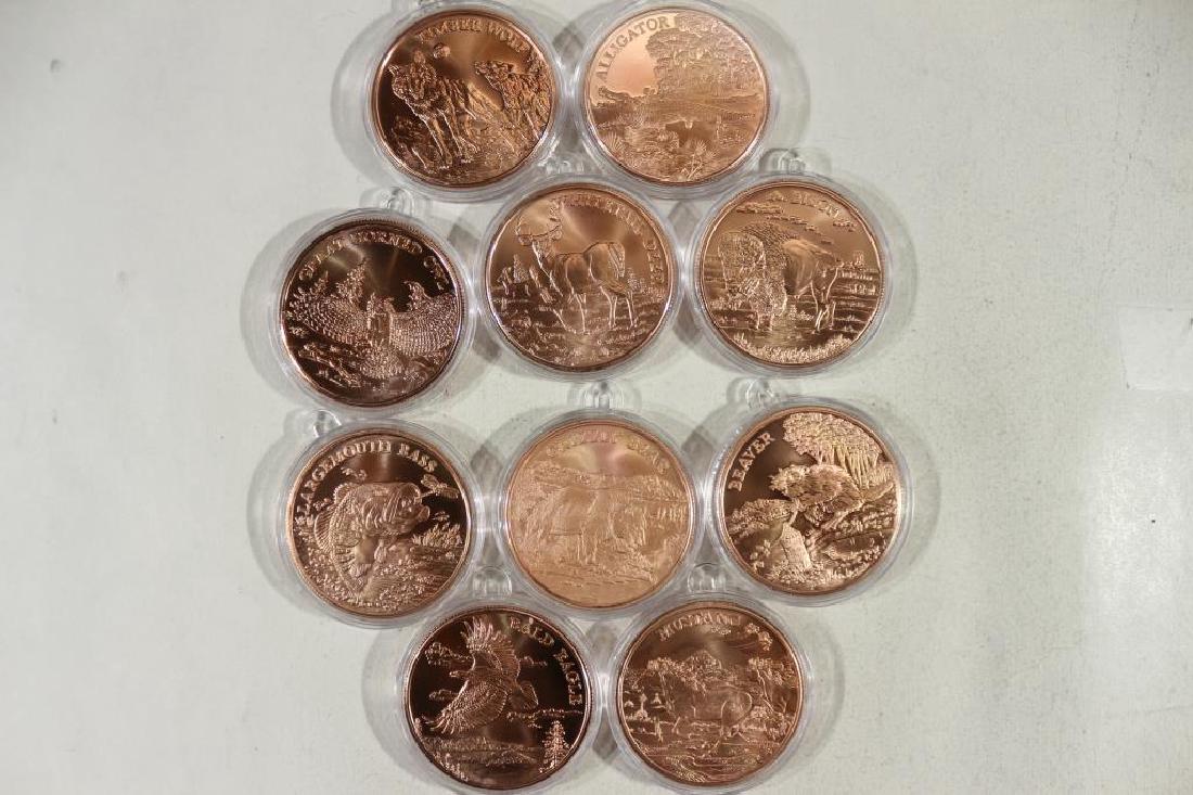 10 AMERICAN WILDLIFE SERIES COPPER ROUNDS (1 of 2)