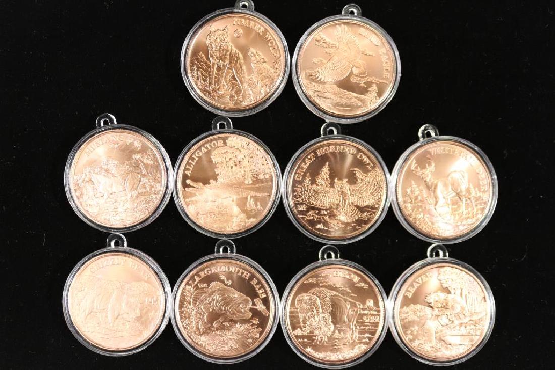 10 AMERICAN WILDLIFE SERIES COPPER ROUNDS (1 of 2)