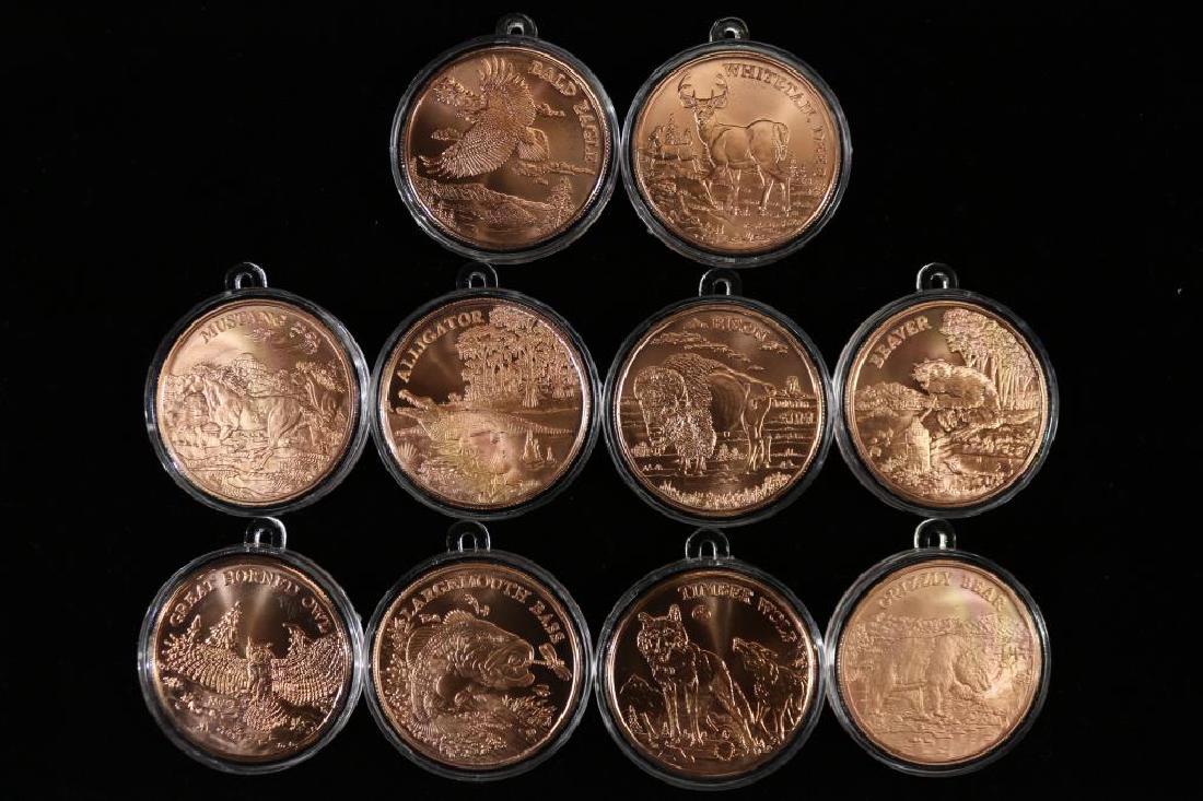 10 AMERICAN WILDLIFE SERIES COPPER ROUNDS (1 of 2)