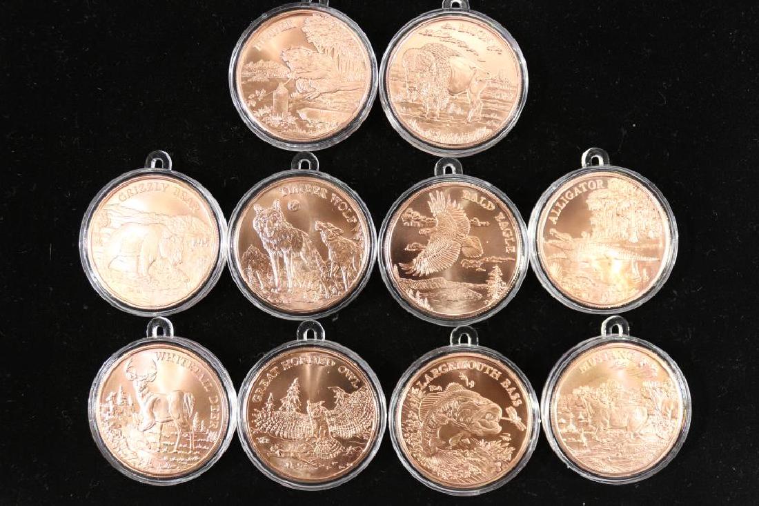 10 AMERICAN WILDLIFE SERIES COPPER ROUNDS (1 of 3)