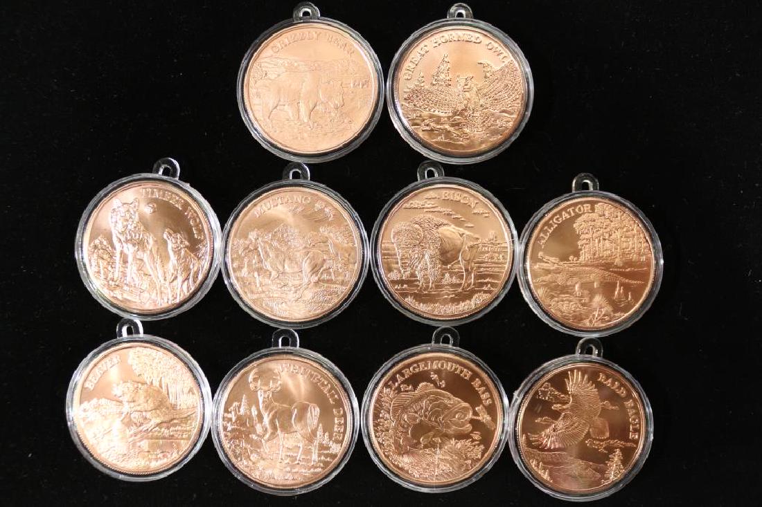 10 AMERICAN WILDLIFE SERIES COPPER ROUNDS (1 of 2)