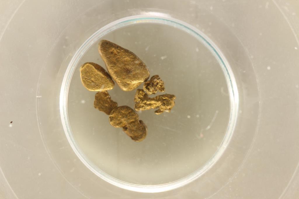 CALIFORNIA GOLD RUSH .5 GRAMS NUGGETS FROM THE: S. S. CENTRAL AMERICA 1857