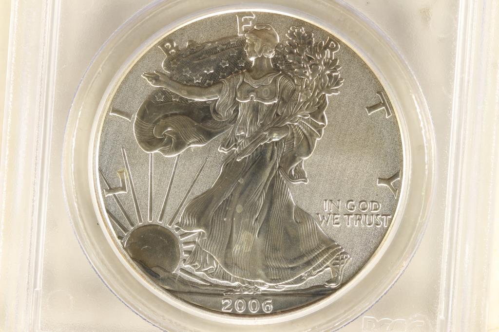 2006-P AMERICAN SILVER EAGLE 20TH ANNIVERSARY REV. (1 of 3)