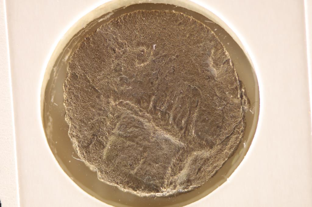 1453-1924 A.D. OTTOMAN COIN MINTED AFTER THE FINAL (1 of 2)