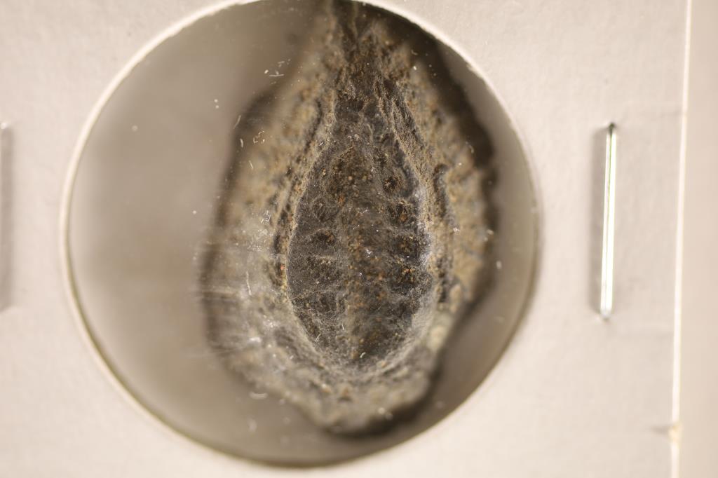 ANCIENT CLAY / LEADEN SEAL: USED IN ANCIENT TIMES: AS A FORM OF SIGNATURE