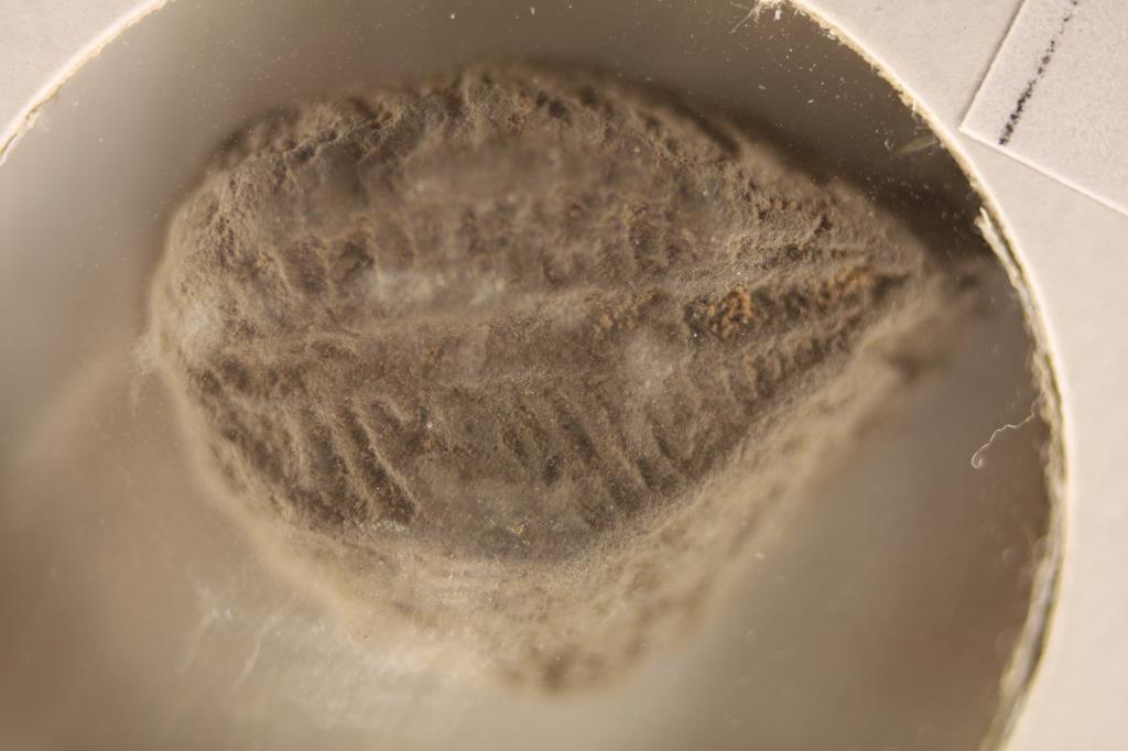 ANCIENT CLAY / LEADEN SEAL: USED IN ANCIENT TIMES: AS A FORM OF SIGNATURE