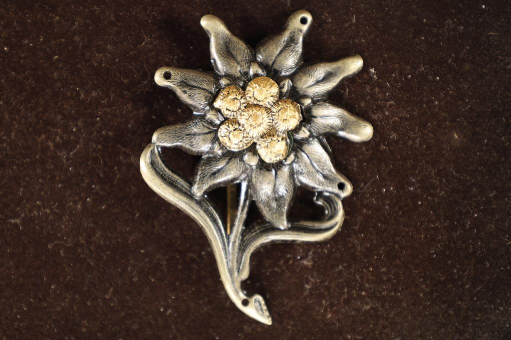 WWII GERMAN MOUNTAIN TROOPS EDELWEISS (1 of 2)