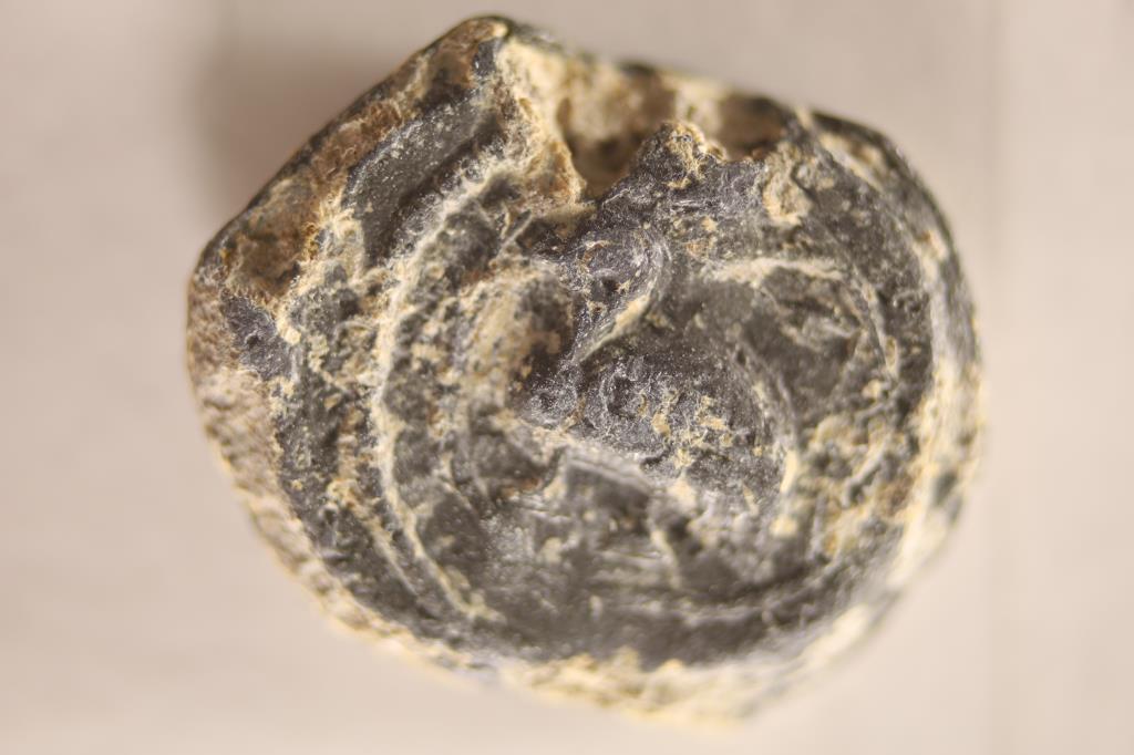 ROMAN ANCIENT COIN PART OF THE DR. FRANK NOVAK: AND JORDAN WAGNER COLLECTION