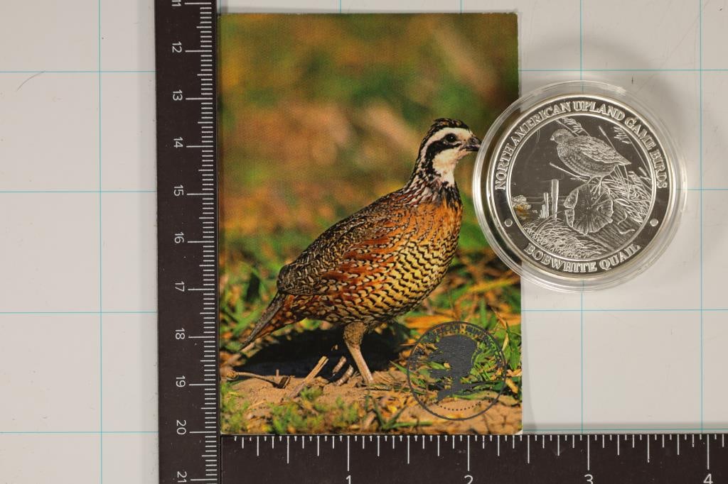 SILVER PLATED NORTH AMERICAN HUNTING CLUB: UPLAND GAME BIRD ROUND "BOB WHITE QUAIL" IN HARD PLASTIC CAPSULE, PROOF WITH INFO CARD