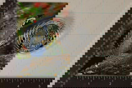 SILVER PLATED 1 1/2" NORTH AMERICAN HUNTING CLUB