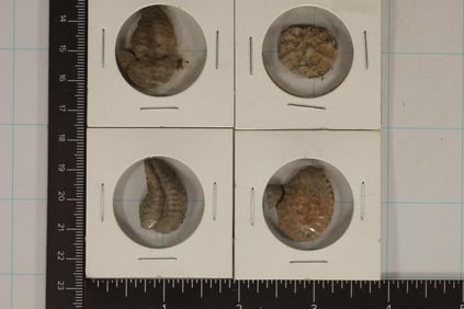 4-ANCIENT TO MEDIEVAL CLAY & LEAD MOLDED COIN SIZE