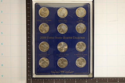 2009 US 12 COIN P & D QUARTER SET ALL UNC IN BLUE