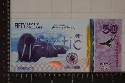 SERIES 2020 ARCTIC $50 CRISP UNC COLORIZED POLYMER
