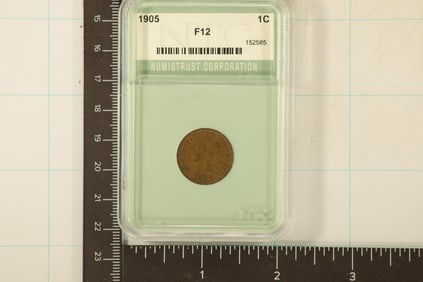 1905 INDIAN HEAD CENT IN A SLAB CLAIMING F12
