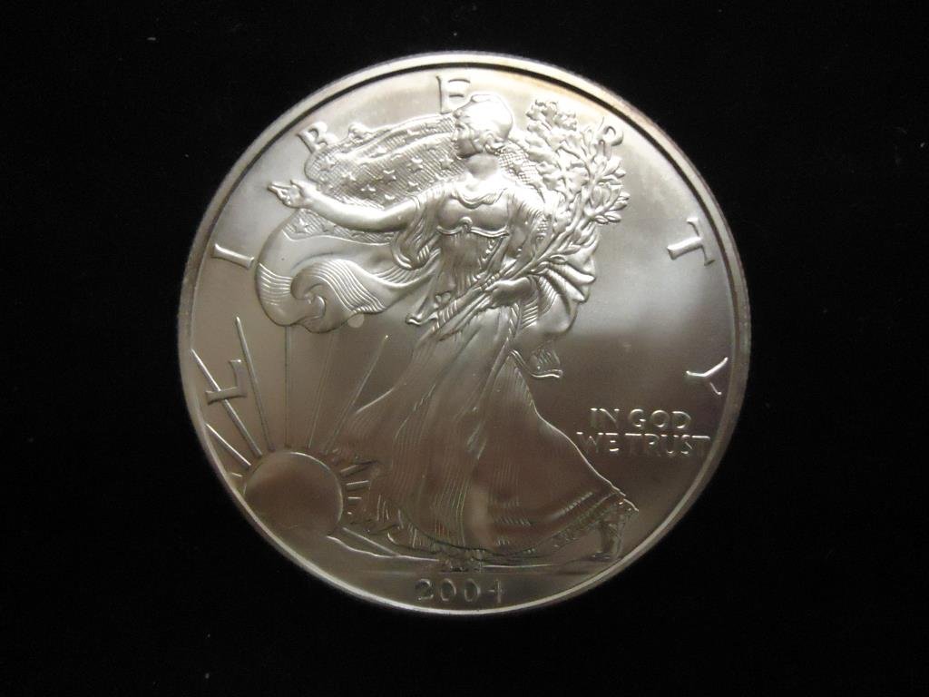 2004 AMERICAN SILVER EAGLE UNC (1 of 2)