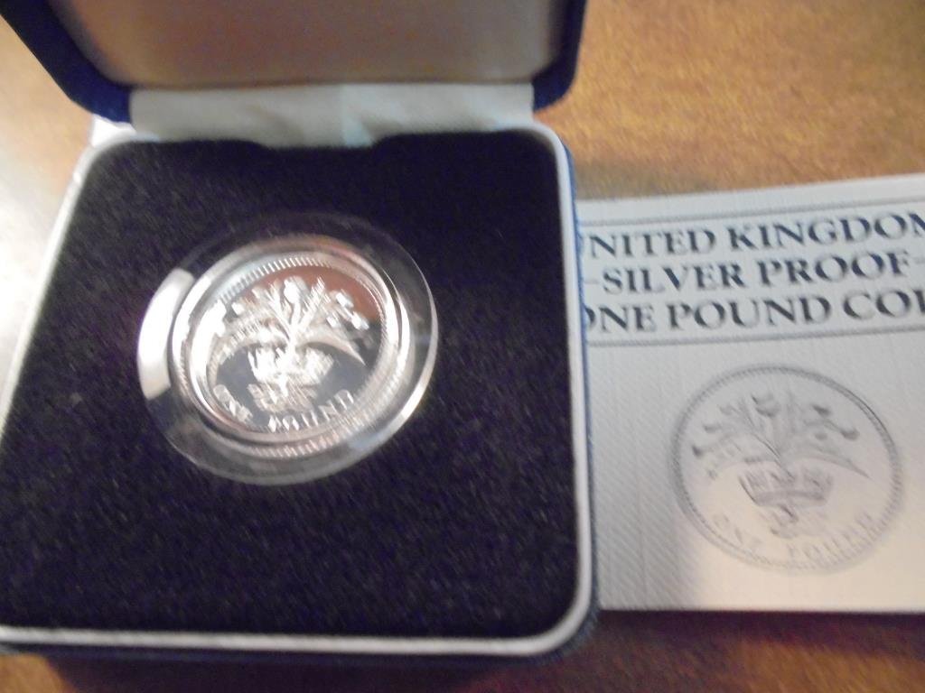 1984 UNITED KINGDOM SILVER PROOF 1 POUND COIN ORIGINAL (1 of 3)