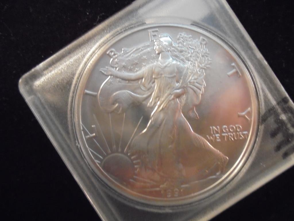 1991 AMERICAN SILVER EAGLE UNC (1 of 2)