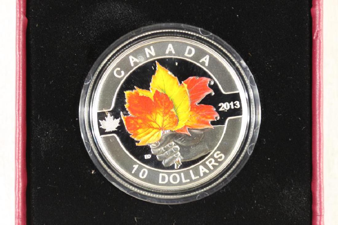 2013 CANADA $10 FINE SILVER MAPLE LEAF COLORIZED (1 of 4)