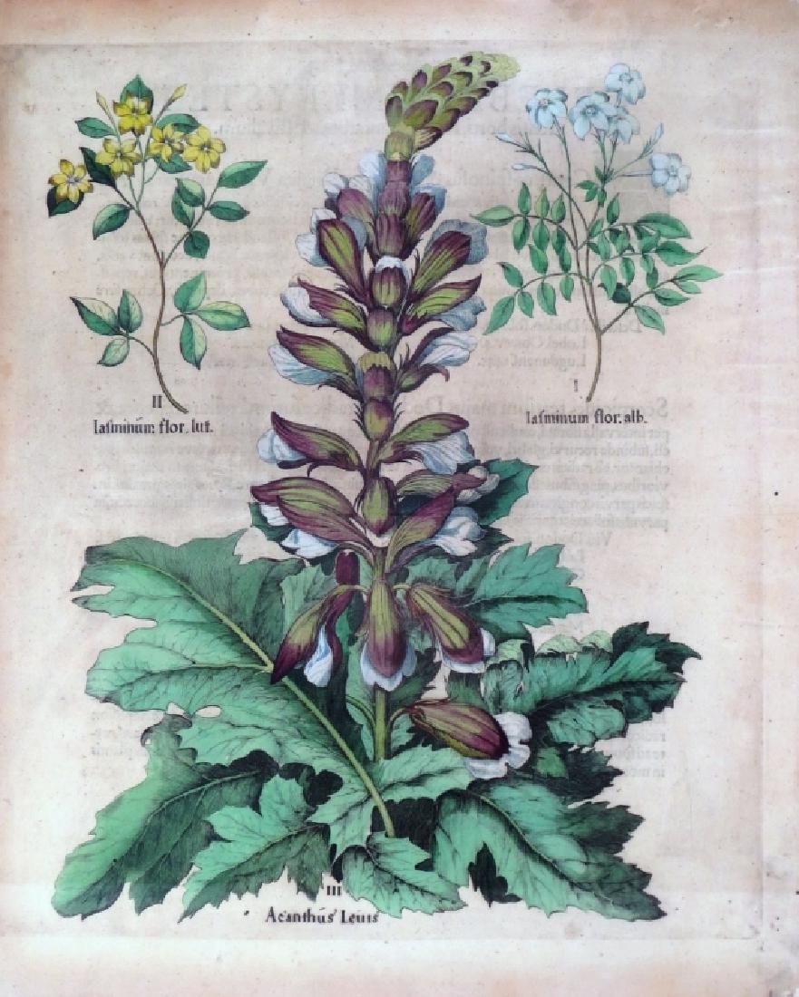 Two 17th C. Hand Colored Engravings (1 of 6)