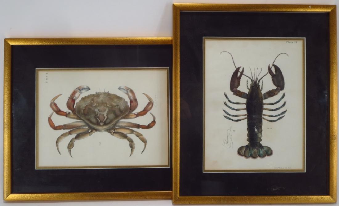 Lot 2 Endicott Lithographs Crab & Lobster 19th c. (1 of 5)