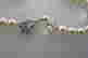 item-52976652=3