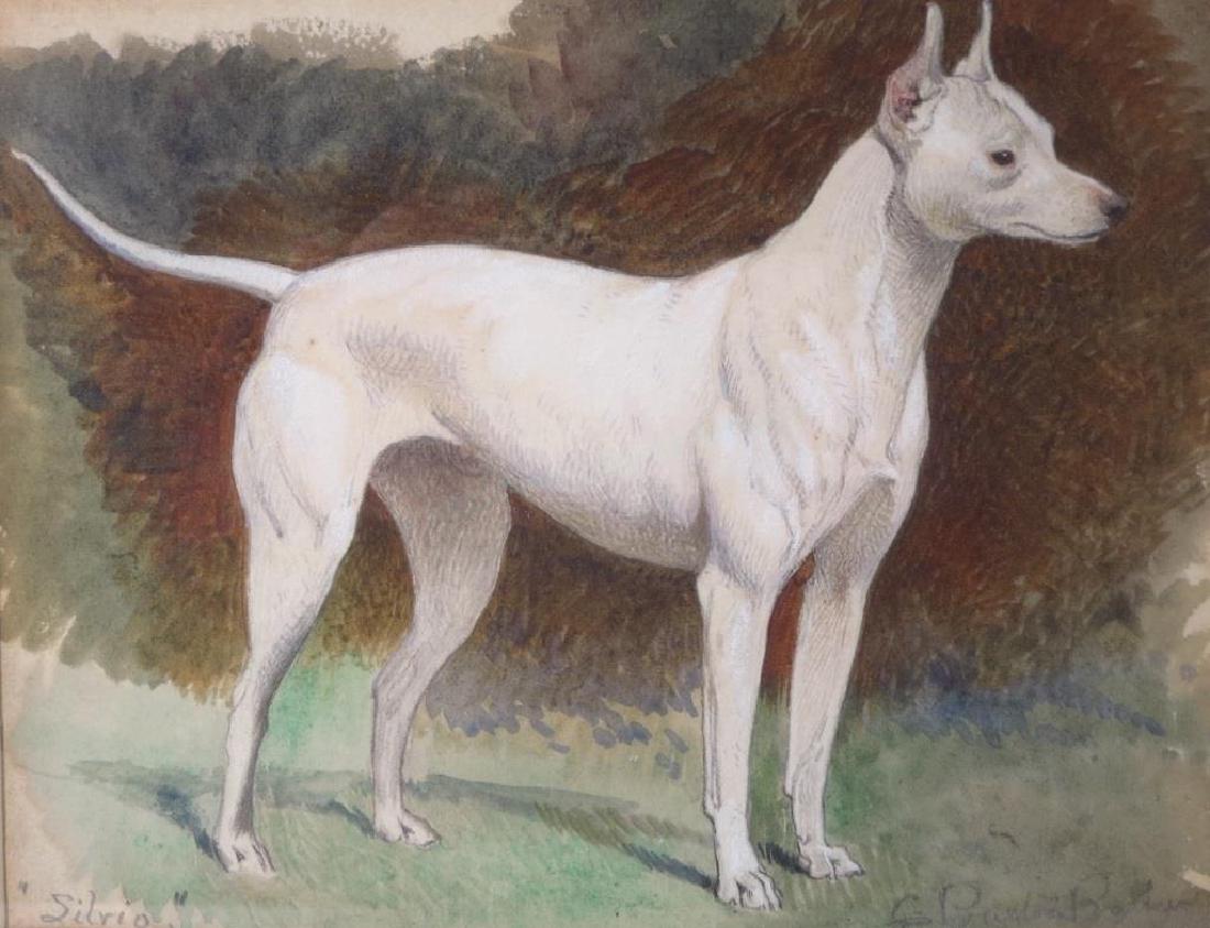 C. Burton Barber, "Silvio" Dog Portrait, c. 1880 (1 of 6)