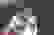 item-54407982=3