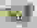 item-56432542=3
