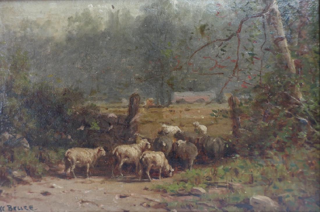 William Bruce, Am.,Sheep Entering Meadow,O/B (1 of 7)