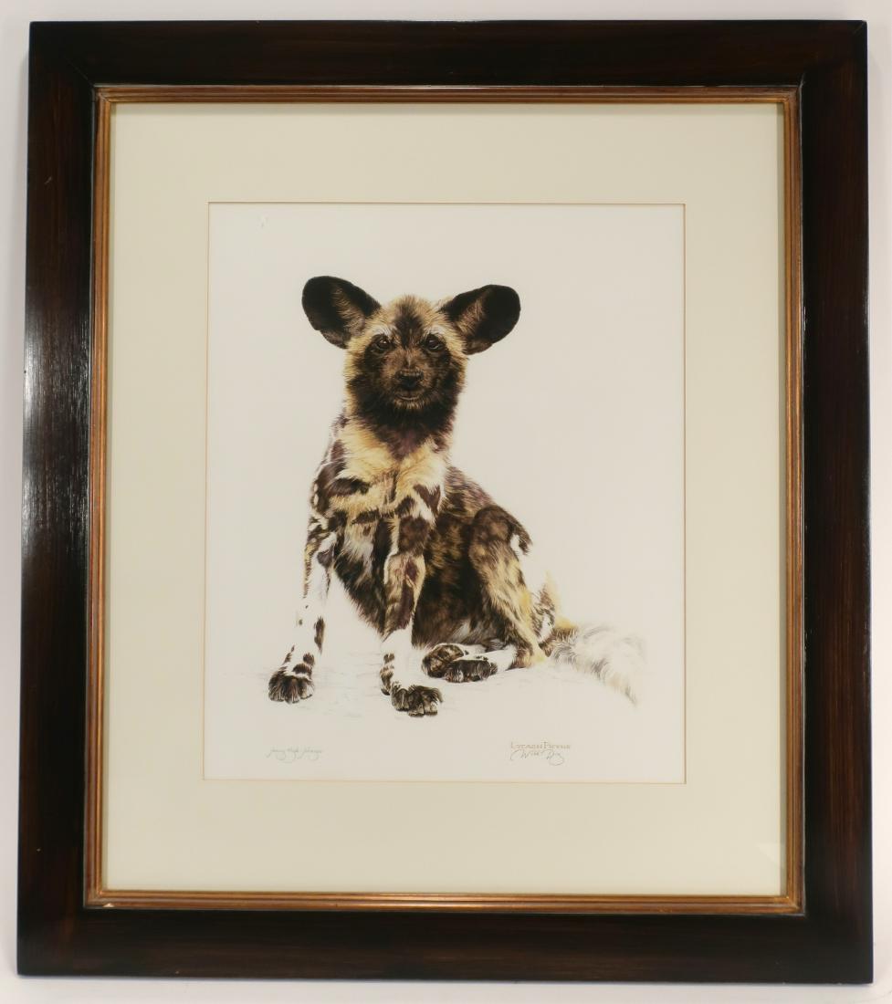 Jenny Hyde-Johnson, S African, Wild Dog Pup I, W/C (1 of 7)