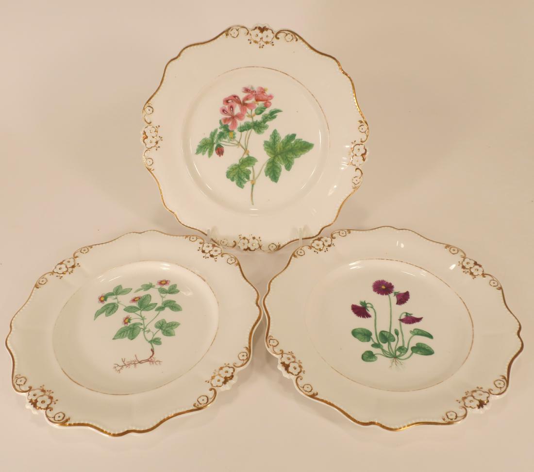 Three Hand-Painted Ridgway Botanical Plates, 1850 (1 of 7)