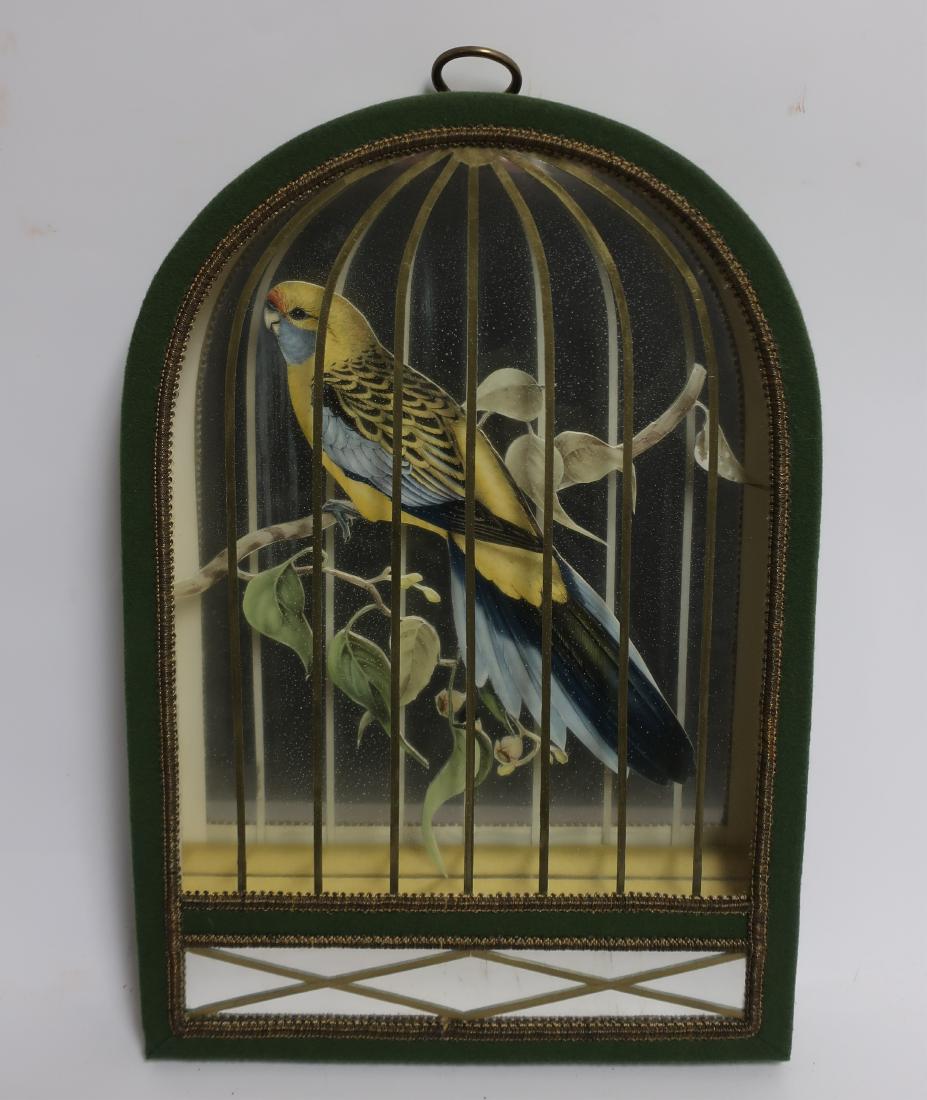 Portuguese Bird Picture (1 of 1)