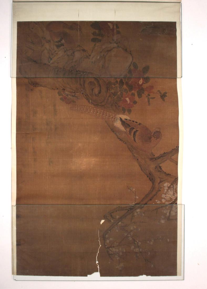 Chinese Scroll, Peacock on Tree Branch, W/C (1 of 6)