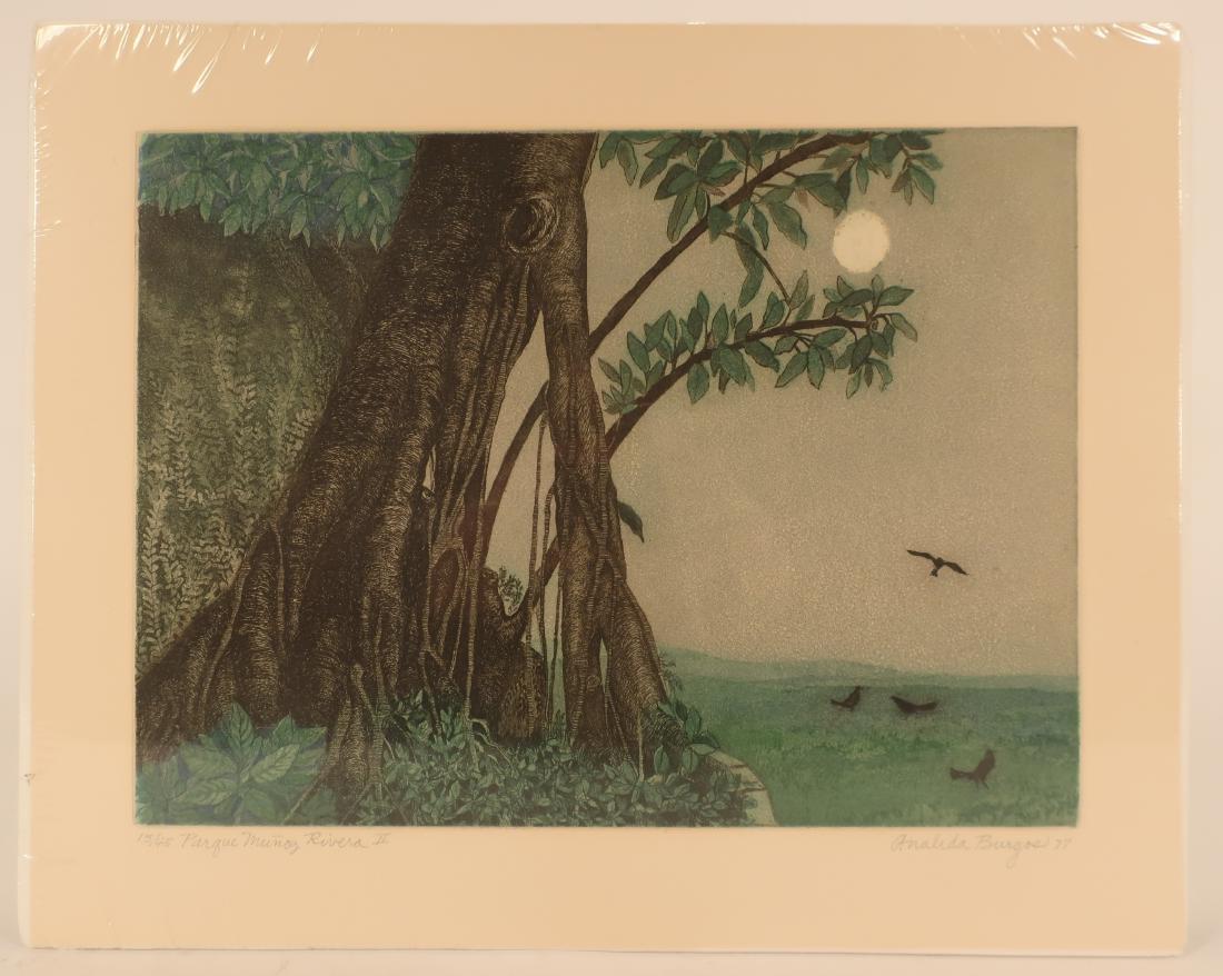 Analida Burgos P.R., "Parque Munoz Rivera" Print (1 of 5)