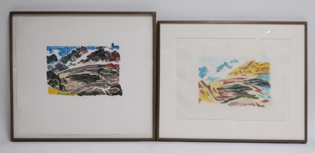 Susan Shatter, Am.,Crater VI & II, monoprint: Susan Shatter , Am., 1943-2011, Crater VI and II, mono print DIMENSIONS: Framed 21 x 22 1/2 We encourage all bidders to obtain shipping quotes before placing bids. Property from the Milbank Art Colle