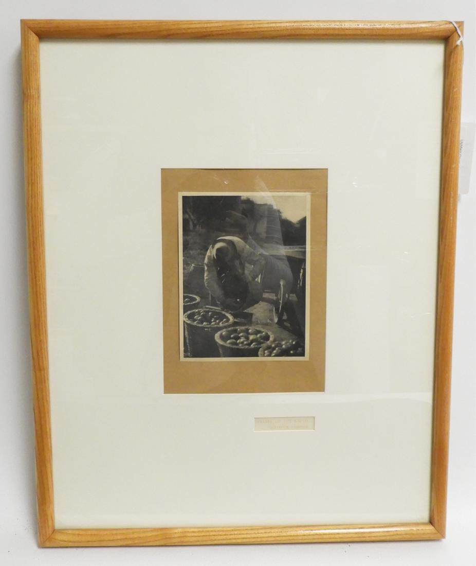 Gertrude Kasebier Fruits of the Earth Photogravure (1 of 4)