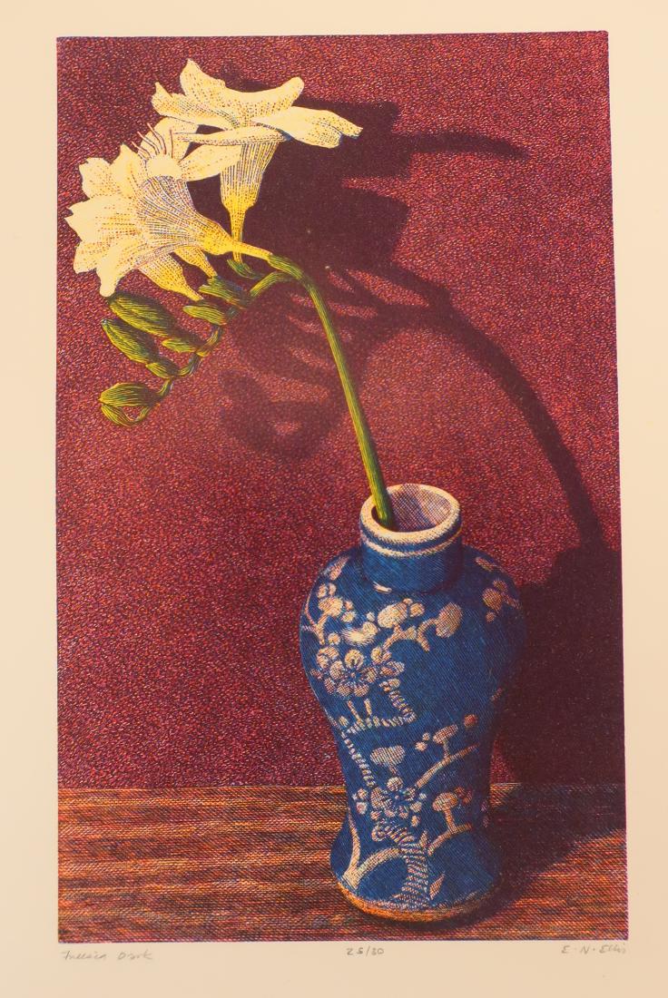 Edwina Ellis, Australia-UK, "Freesia Dark" Woodcut: Edwina Ellis, b. 1946 Australia, active Great Britain, "Freesia Dark", engraving, pencil signed, numbered 25/30, and titled; accompanied by a 1993 fanfold from London's Duncan Campbell gallery with th