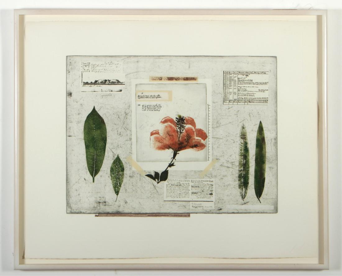 Michelle Stuart, Flora Austrailis Etching, 1989: Michelle Stuart (American B. 1940). Flora Austrailis (From Voyage to South Seas Suite) Etching and aquatint and collage. Signed lower right. Dated 1989, edition 4/40 23 x 29.75 Framed: 29 x 35.5 Prope
