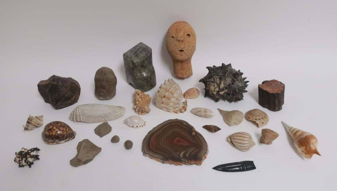 Mix Lot with Cycladic Style Heads: Shells, petrified wood, stone carving of a face, etc. Largest head 6 H x 3 W x 3 D CAPS5525/LOT WT