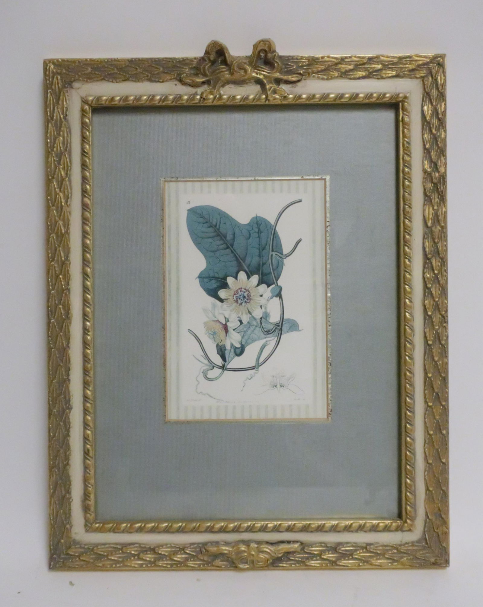 Robert Grace (Calif.) Botanical Decorator Print (1 of 6)