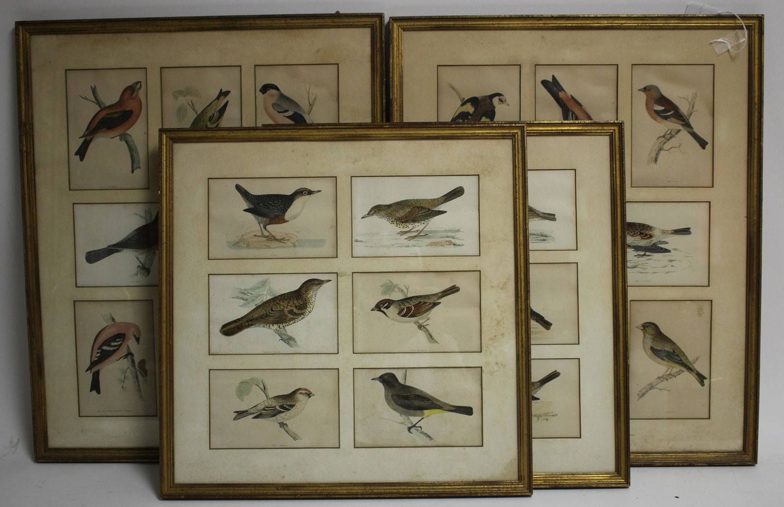 2 Pairs of Bird Prints (1 of 4)