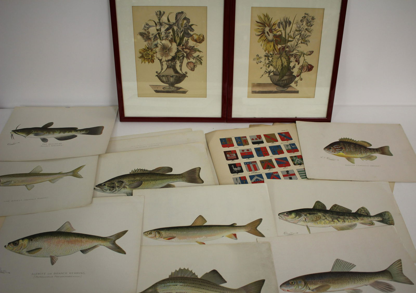 Approx. 60 Color Prints (1 of 4)