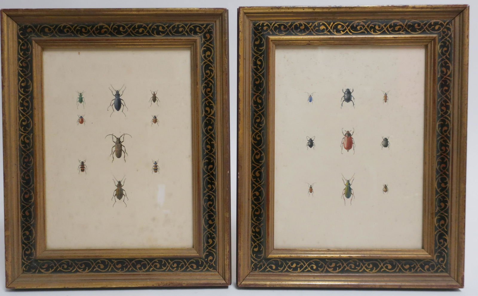 Pair of Watercolors of Entomology Subjects, 19th: C 15 H x 12 W Litchfield Auctions is honored to offer Selections from the Collection of Peter Tillou. Peter has enjoyed wide renown across the United States and Internationally over his seventy-year c