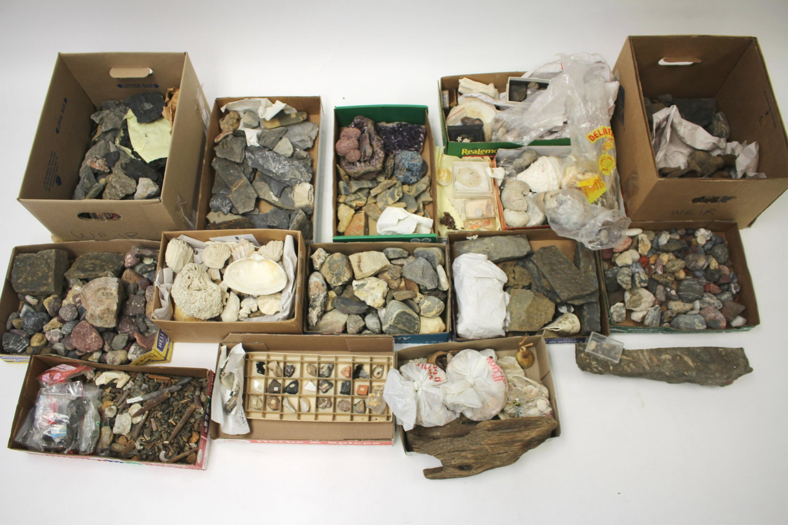 Fossil Rocks, Sharks Teeth, Coral, Shells, Geodes: Sand dollars, small sample rock collection, fossilized eggs, clams, ocean tumbled rocks, typical shells, open and unopened rock with fossils, geodes, etc. 6" x 13 small rock collection box; (QPECK1047