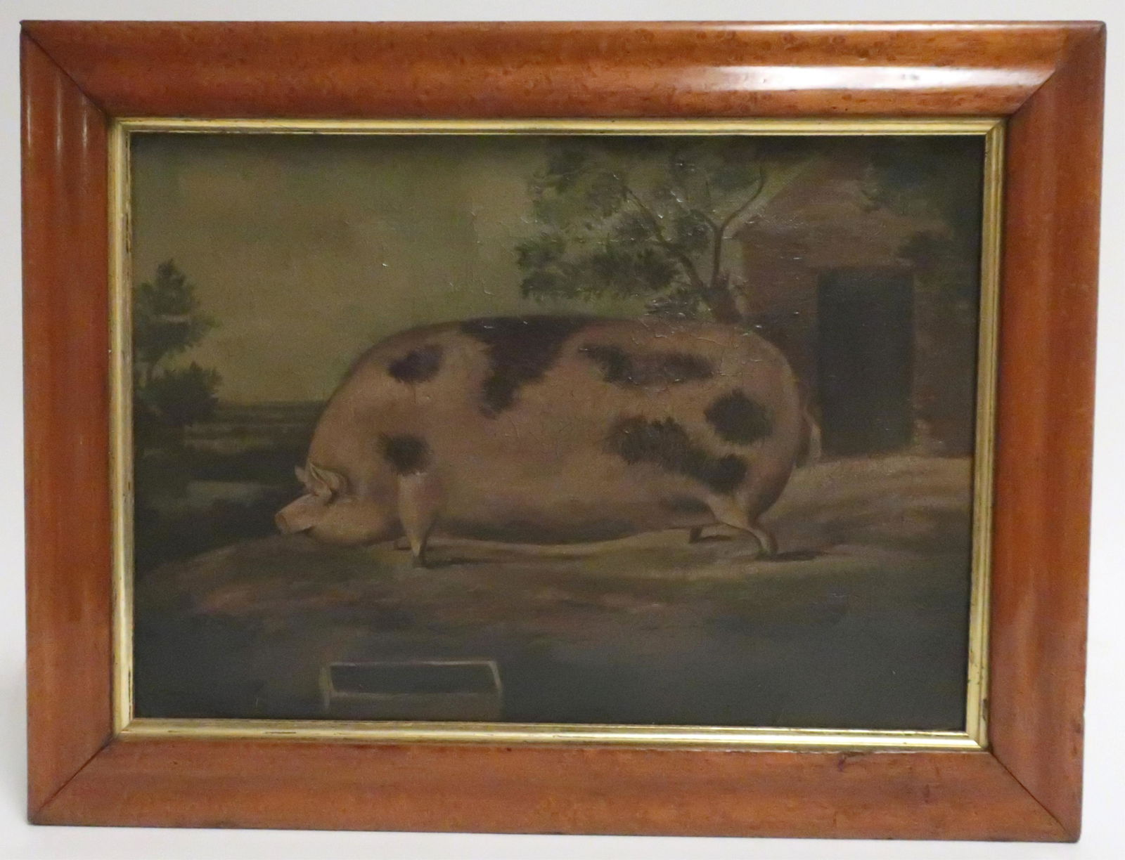 19th c. British School, Portrait of a Pig, O/C: 19th c. British School, portrait of a pig, possibly an award winner, oil on canvas, c. 1850-60, no signature located at this time. PROVENANCE: Littlebury Antiques of Essex, 1993, price 930 pounds - se