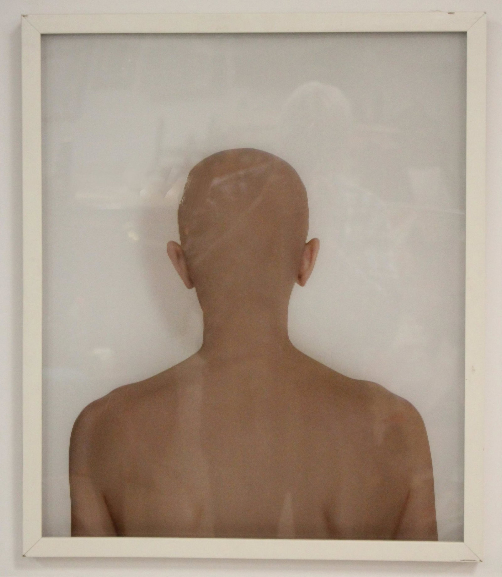 Margeaux Walter, Study 6 (Oneness): Margeaux Walter, American, born 1982. Lenticular tited Study 6 (Oneness), 2007, edition 1 of 5. Verso gallery label "Nohra Haime Gallery" 24 x 20", framed 25.5 x 21.5" (ACAI6109)(MM)