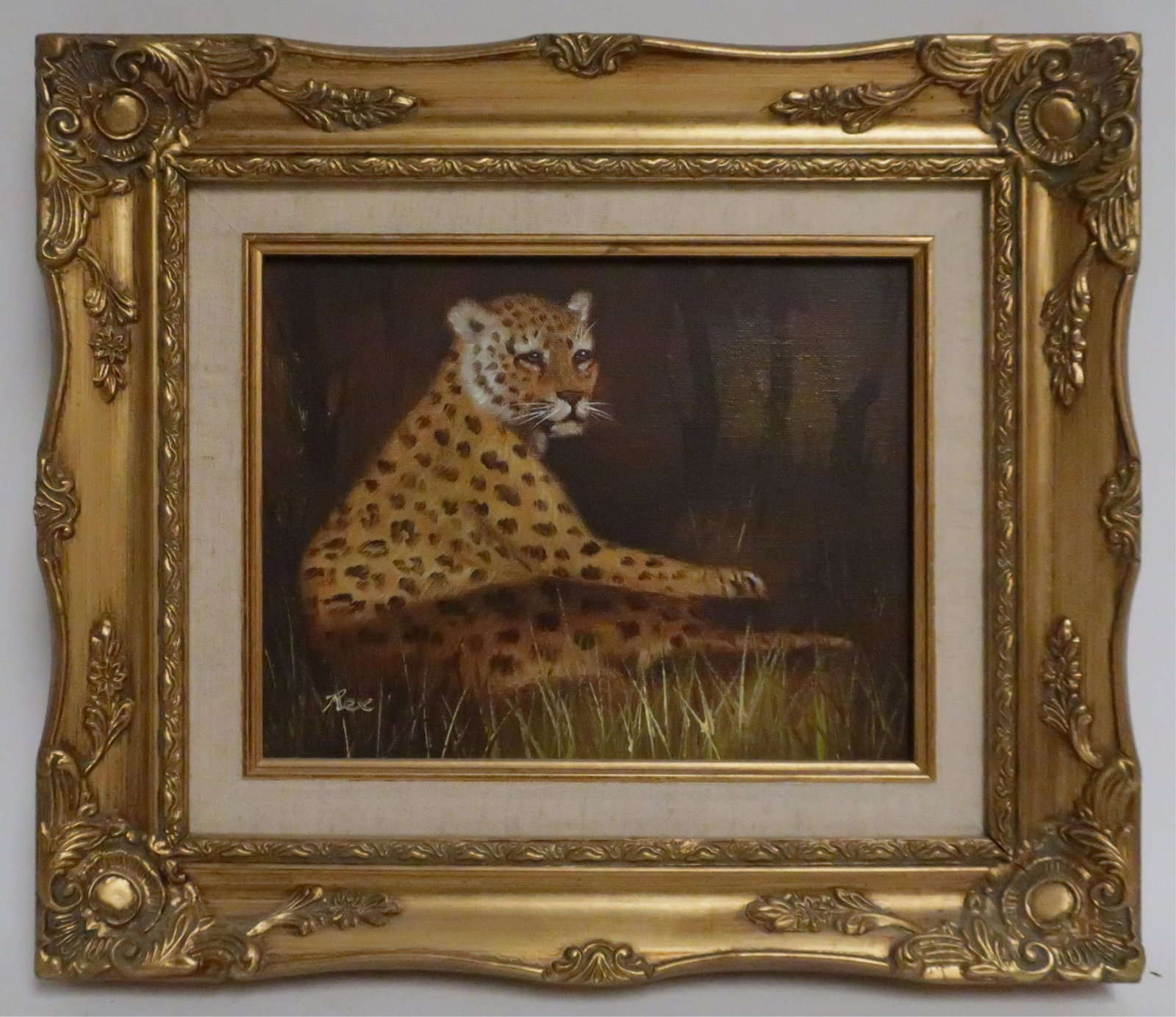 O/C of Cheetah At Rest Signed "Rex": Cheetah in light, darkened background. Ornate frame, linen & gilt liner. Dimensions: 7.5"H x 9.5 framed 13.5 x 15.5