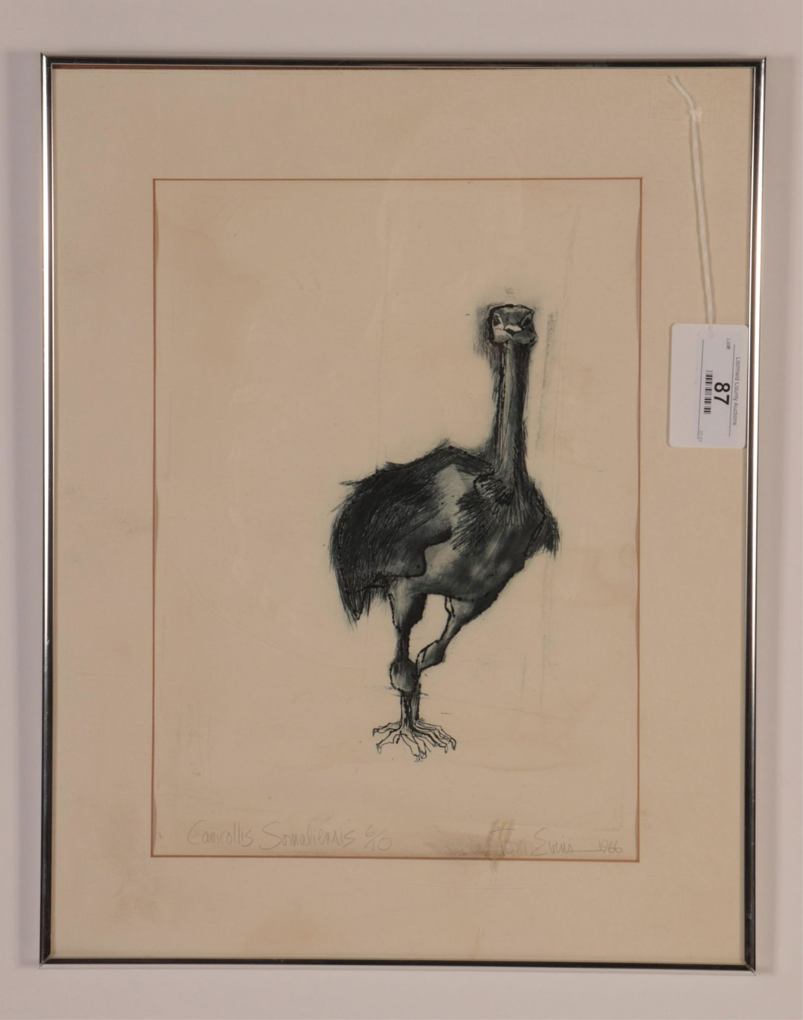 Toni Evins, Mid 20th C., Bird lithograph (1 of 3)