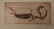 Leonard Baskin, 2 Prints of Insects - 2